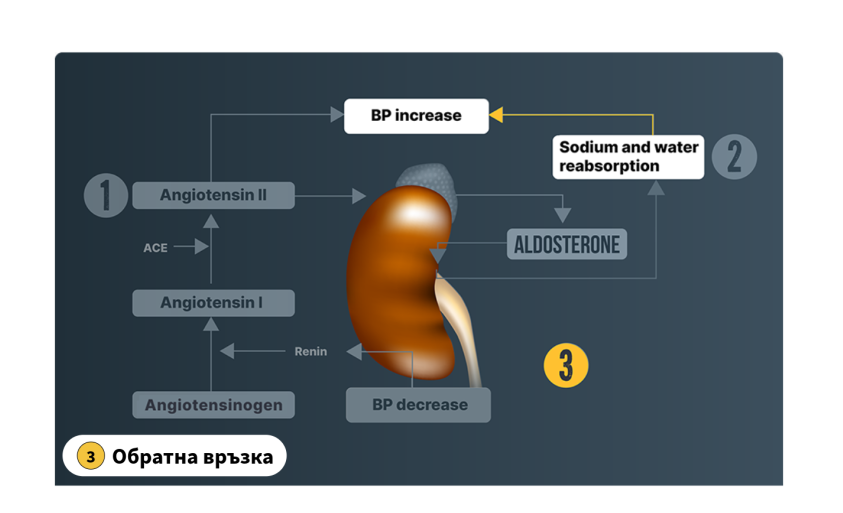 Izkušnje bolnikov